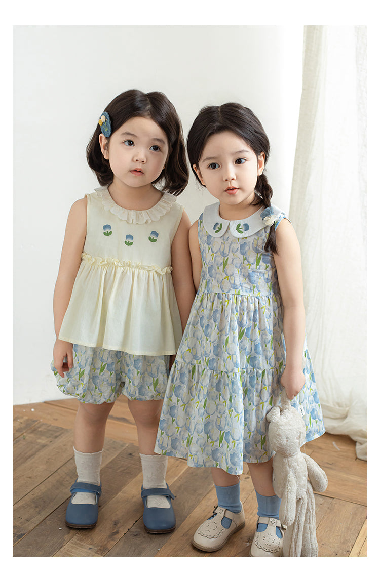 Eliza Embroidered Collar Dress, Blue Floral