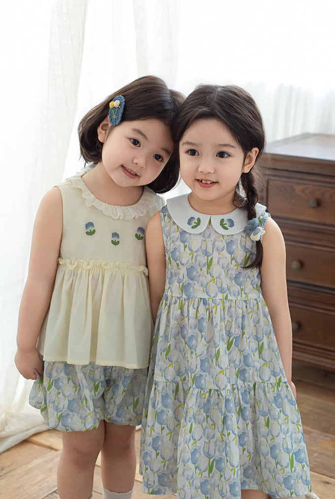 Eliza Embroidered Collar Dress, Blue Floral