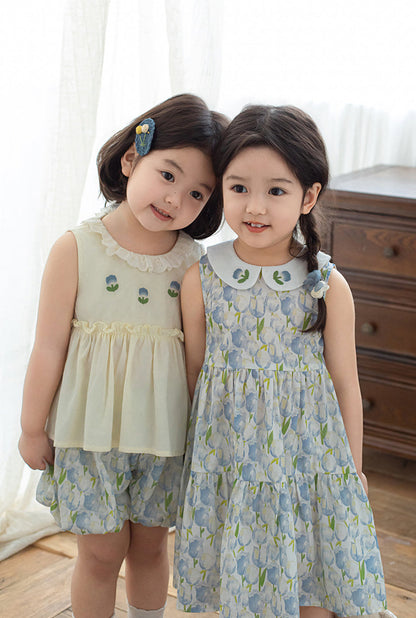 Eliza Embroidered Collar Dress, Blue Floral