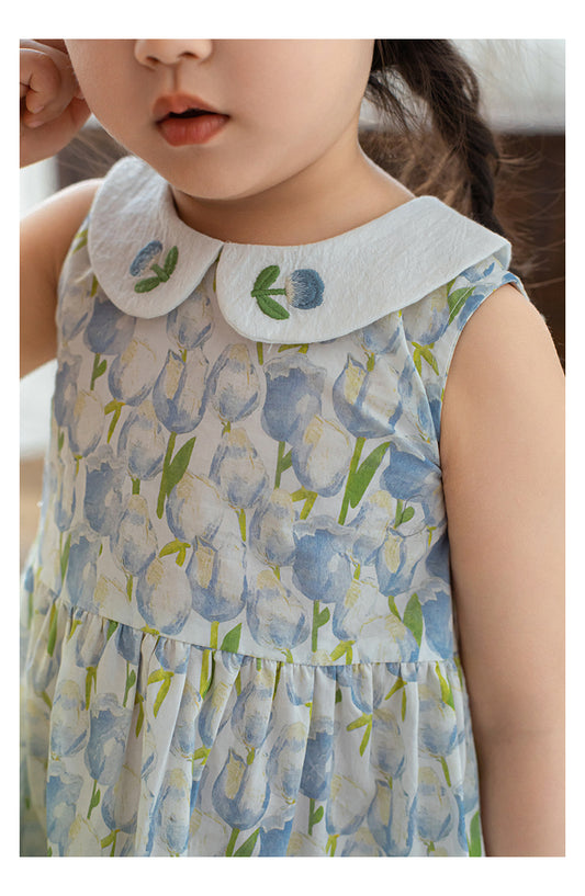 Eliza Embroidered Collar Dress, Blue Floral