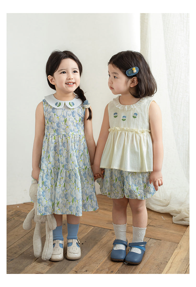 Eliza Embroidered Collar Dress, Blue Floral