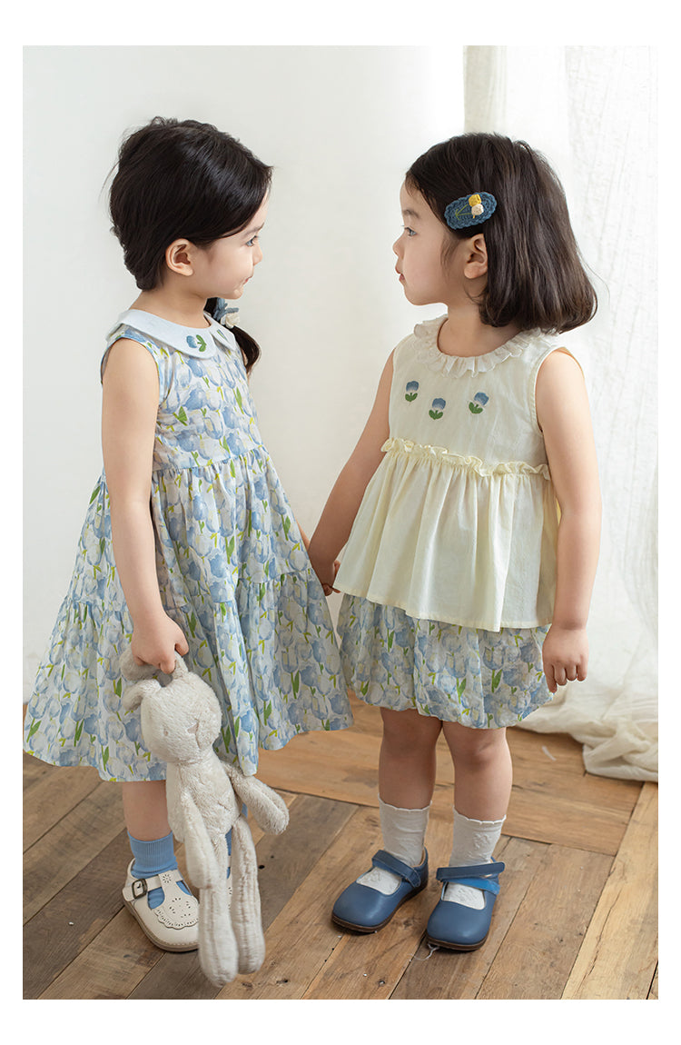 Eliza Embroidered Collar Dress, Blue Floral